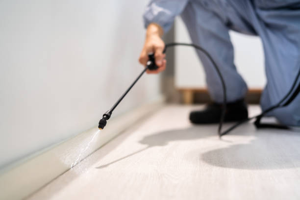Licensed Pest Control service in Danbury, TX - Show Me Pest Control